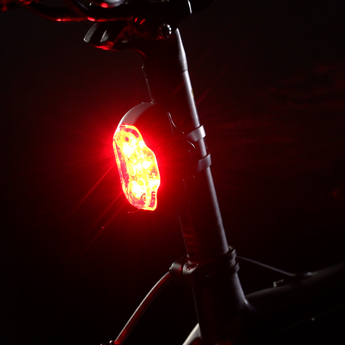 Tail Lights