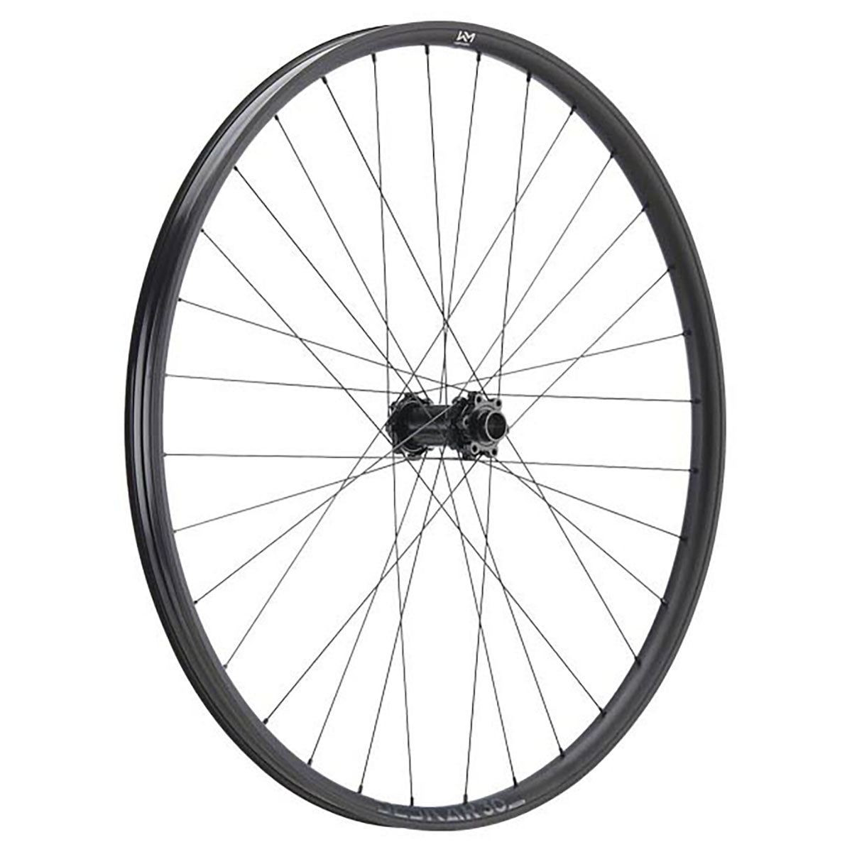 NEWMEN Front Wheel - Beskar 30 strong 29" 32h FADE SP 6B 15-20x110 - Enduro