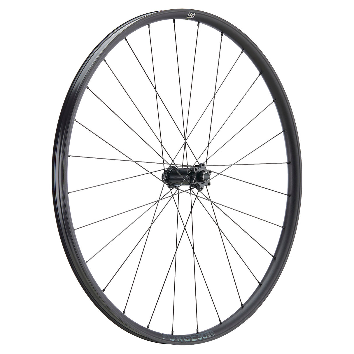 NEWMEN Front Wheel - Forge 30 light 29" 28h FADE SP 6B 15x110 - XC