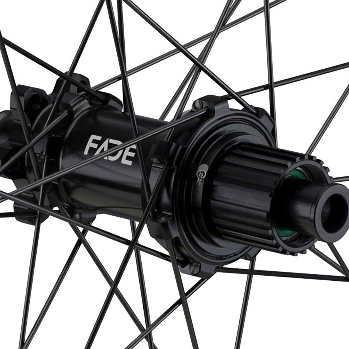 NEWMEN Rear Wheel - Phase 30 Strong 29" 28h FADE SP 6B - Enduro