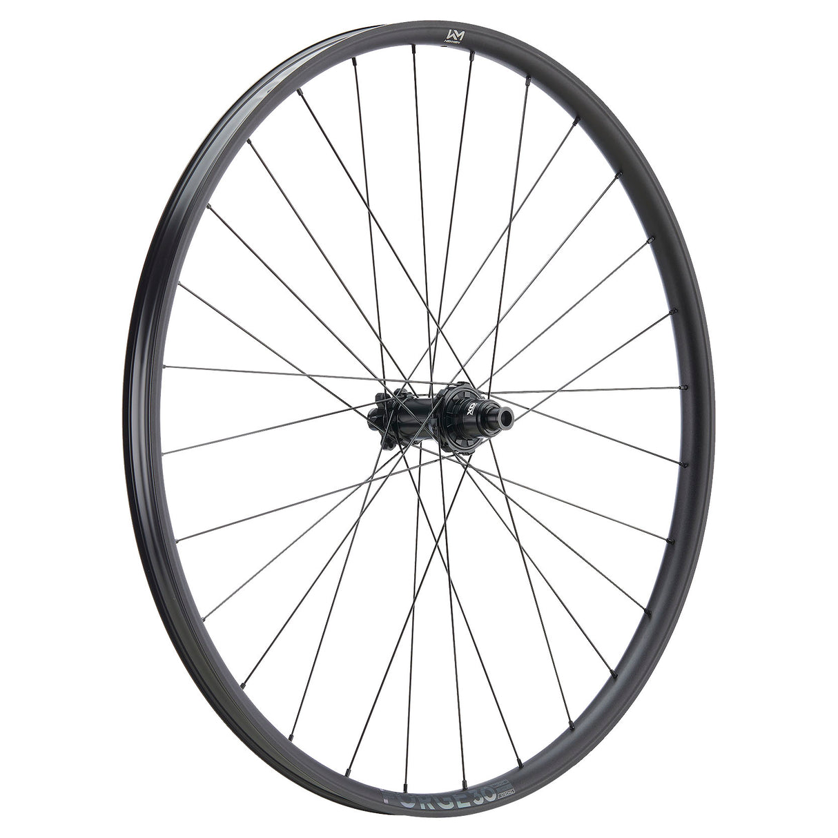 NEWMEN Front Wheel - Forge 30 base 29" 28h FADE SP 6B 15x110 - Trail