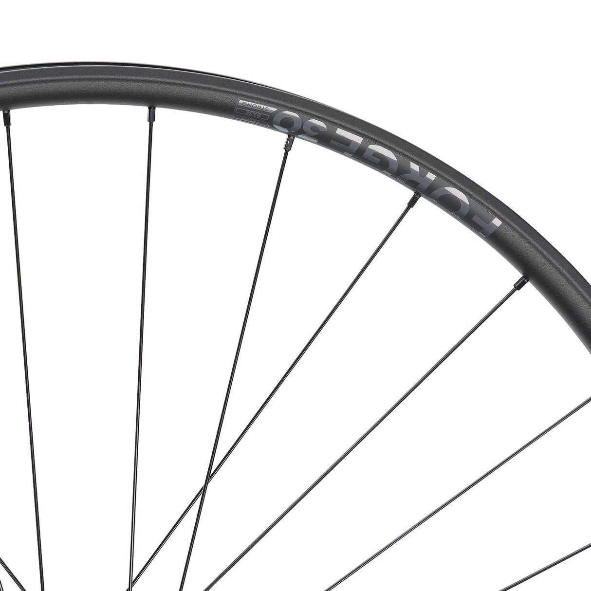 NEWMEN Front Wheel - Forge 30 strong 29" 32h FADE SP 6B 15-20x110 - Enduro