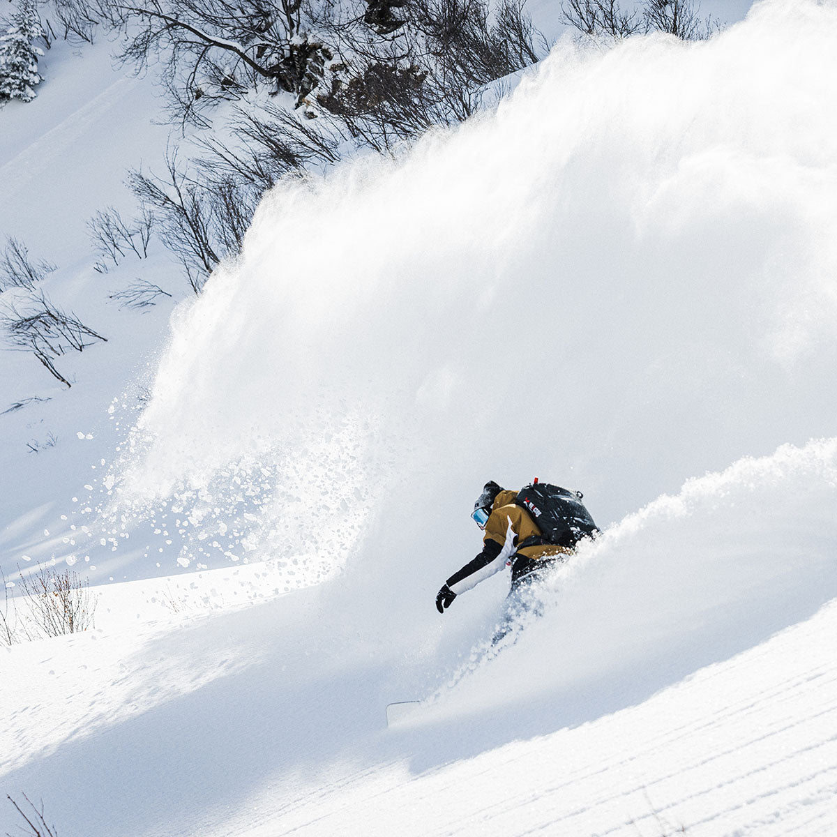 Slash by GiGi - ATV Snowboard - Blank (TopART)