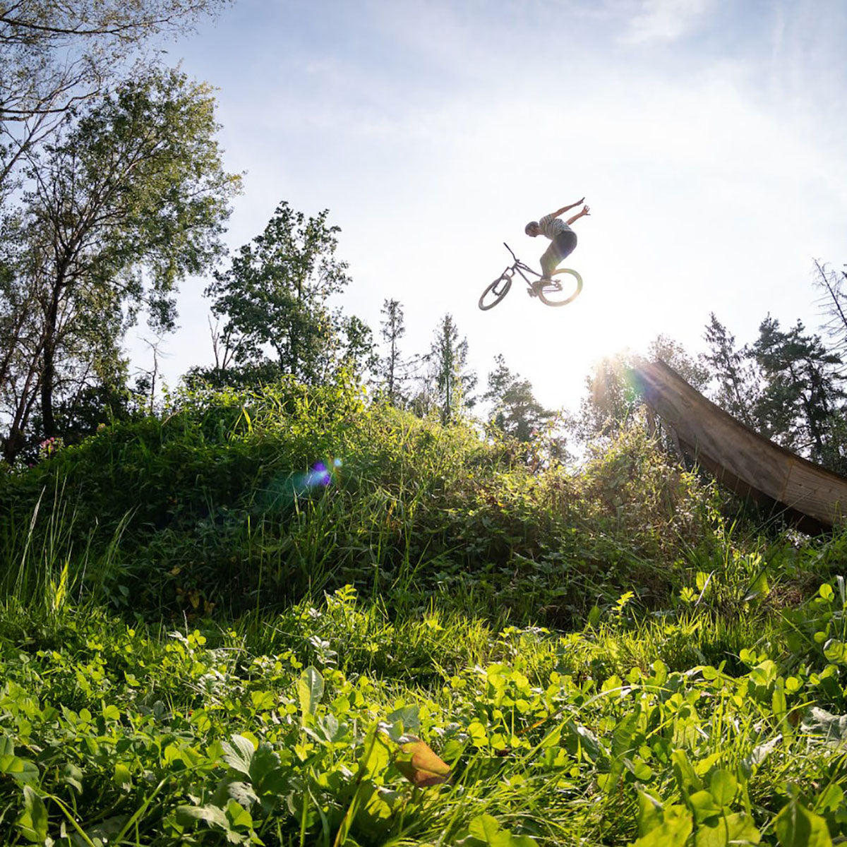 ZEITBIKE - Leafcycles - Ruler Pro - Dirt Jump Bike - CroMo (2023)