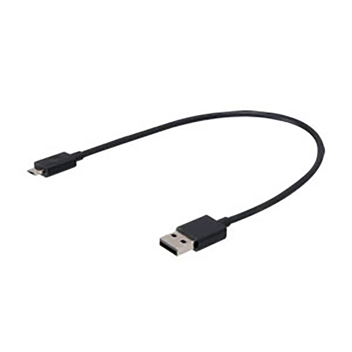 SIGMA Light - BUSTER 300, Power Light w/ Optional Nugget II Flash