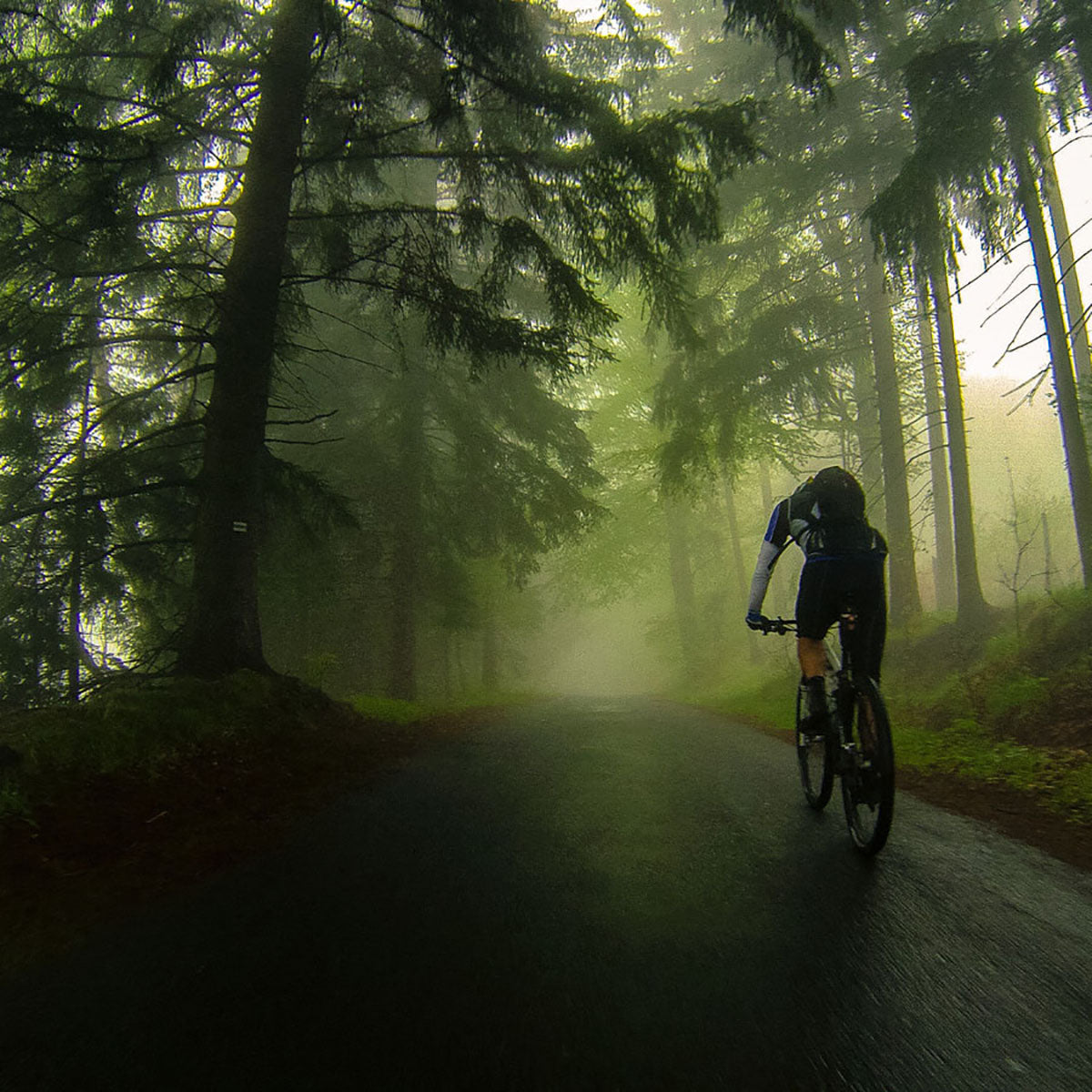 TSG - Helmet All Terrain