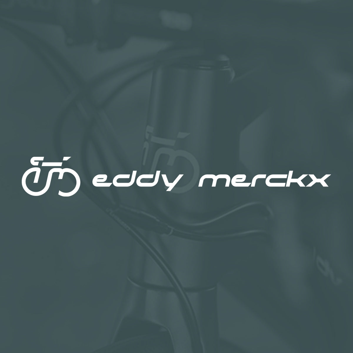Eddy Merckx