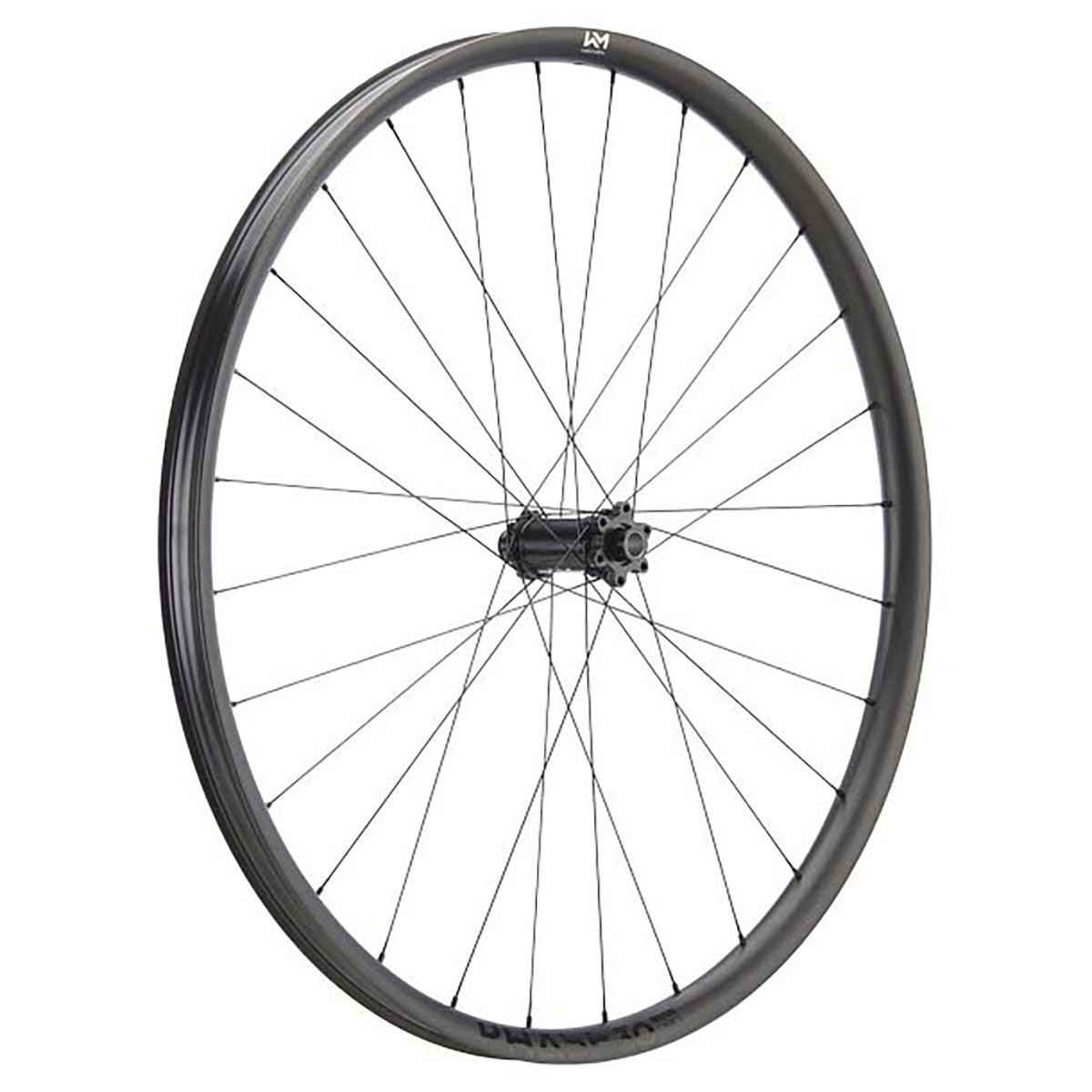 NEWMEN Front Wheel Phase 30 - Base 29" 28h FADE SP 6B 15x110 - Trail