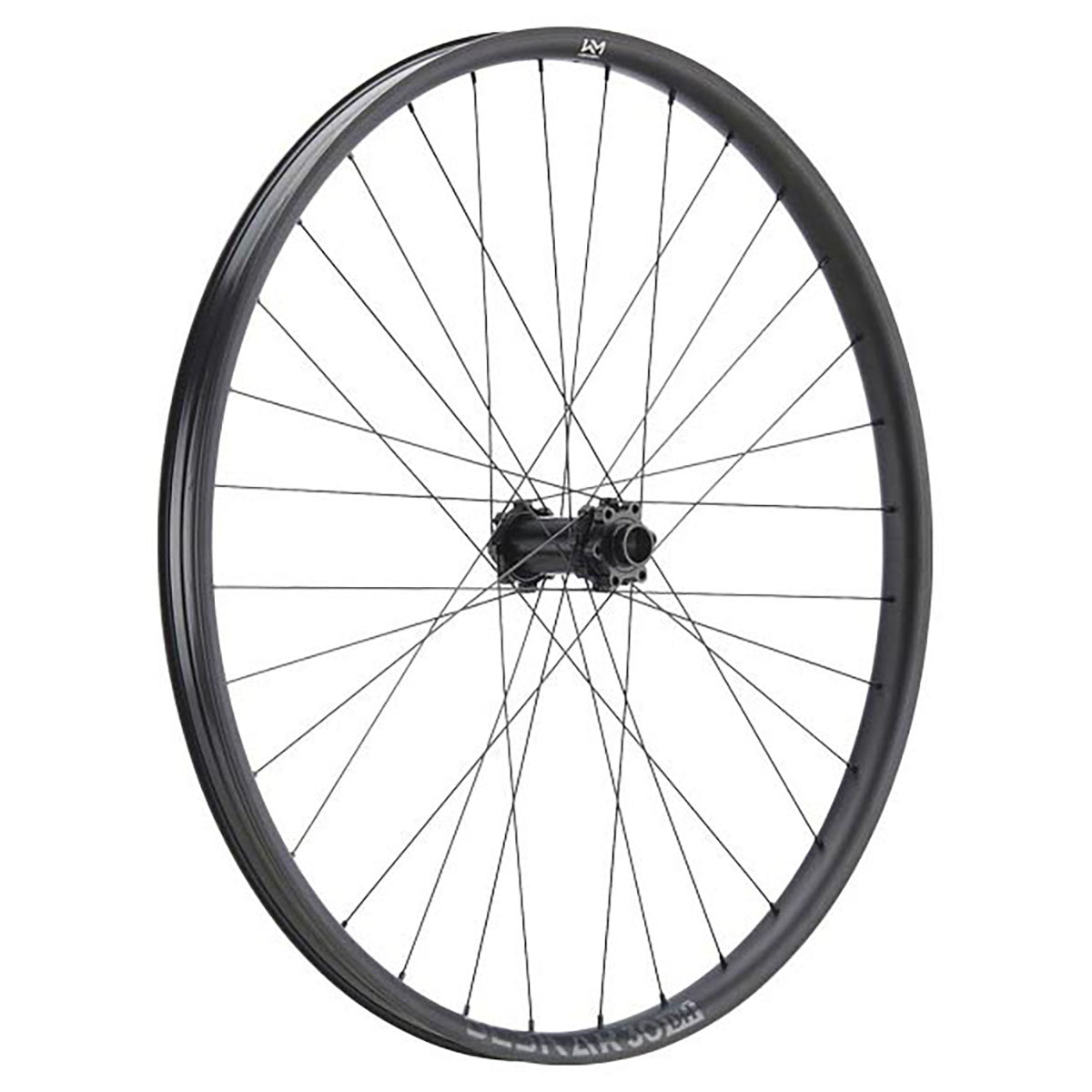 NEWMEN - Wheel (Front) - Beskar 30 DH | Downhill - [D]