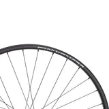 NEWMEN - Wheel (Front) - Beskar 30 DH | Downhill - [D]