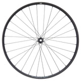 NEWMEN - Wheel (Rear) - Forge 30 Light | Cross Country - [D]