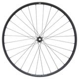 NEWMEN - Wheel (Rear) - Forge 30 Light | Cross Country