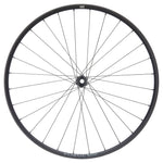 NEWMEN - Wheel (Rear) - Forge 30 Light | Cross Country