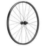 NEWMEN - Wheel (Rear) - Phase 30 Light VONOA | Cross Country - [D]
