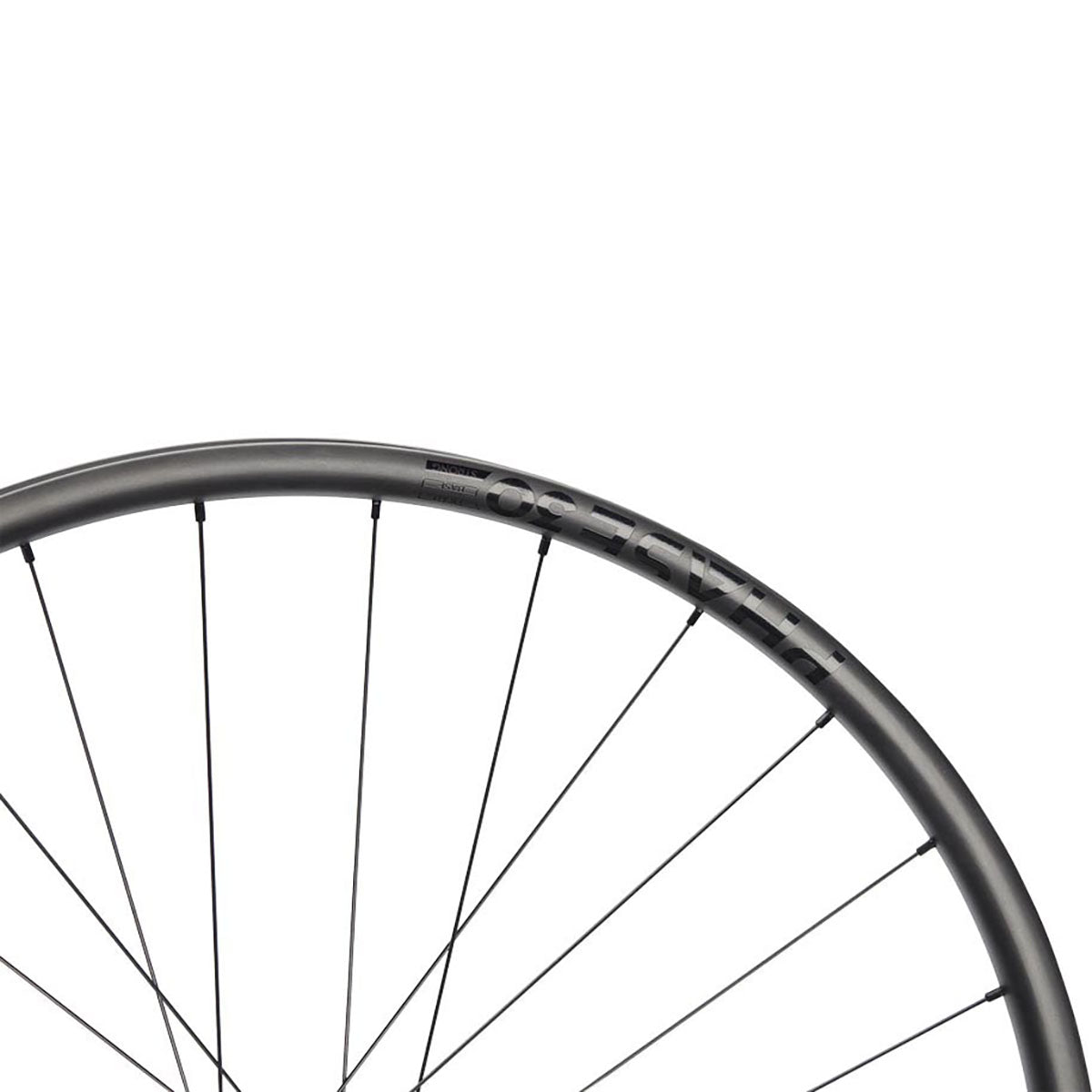 NEWMEN - Wheel (Rear) - Phase 30 Strong | Enduro - [D]