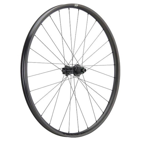 NEWMEN - Wheel (Rear) - Phase 30 Strong | Enduro - [D]
