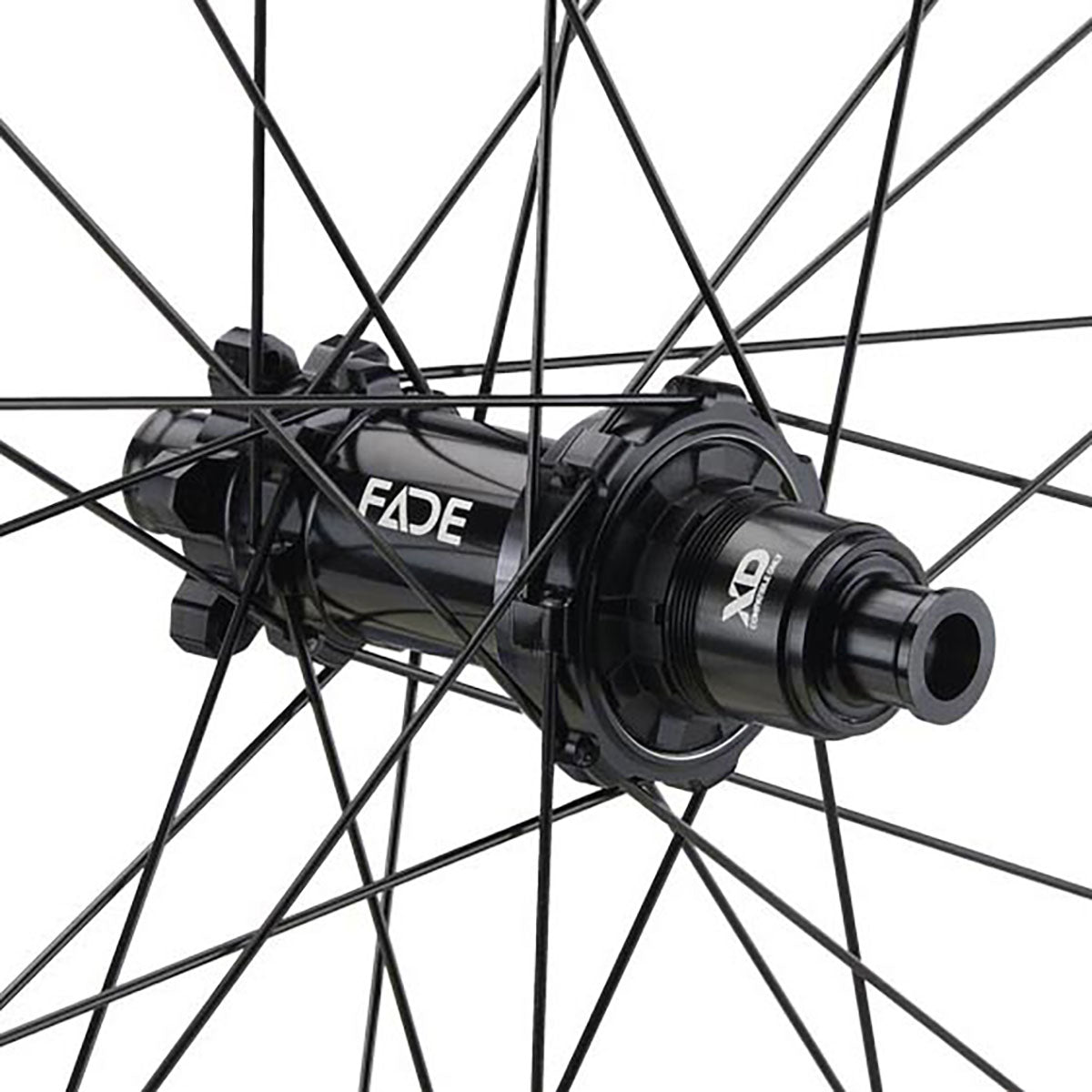 NEWMEN - Wheel (Rear) - Beskar 30 Base | Trail - [D]