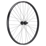 NEWMEN - Wheel (Rear) - Beskar 30 DH | Downhill - [D]
