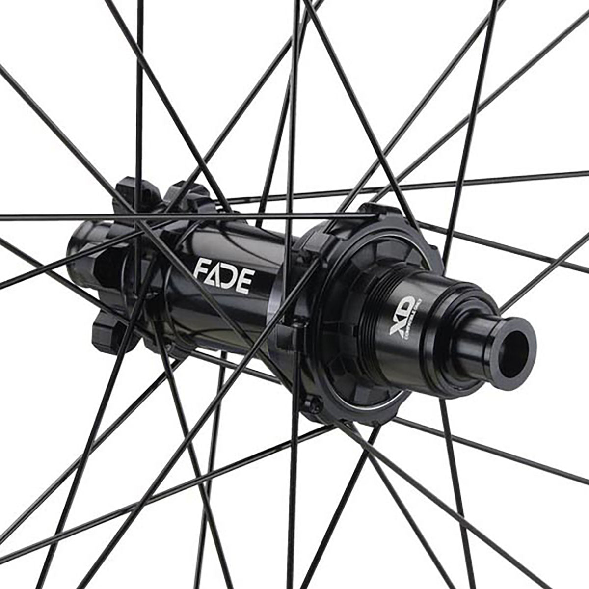 NEWMEN - Wheel (Rear) - Beskar 30 DH | Downhill - [D]