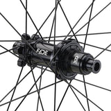 NEWMEN - Wheel (Rear) - Beskar 30 DH | Downhill - [D]