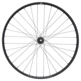 NEWMEN - Wheel (Rear) - Beskar 30 DH | Downhill - [D]