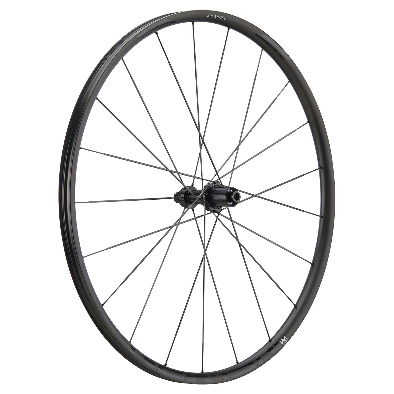 NEWMEN-WHLR-Adv-SL-X.R.25-