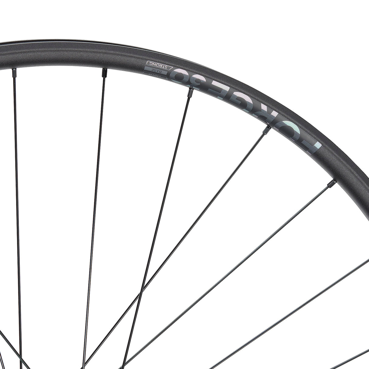 NEWMEN - Wheel (Front) - Forge 30 Base | Trail - [D]