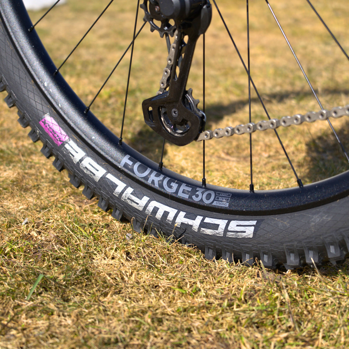 NEWMEN - Wheel (Rear) - Forge 30 Strong | Enduro