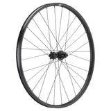 NEWMEN - Wheel (Front) - Performance 30 Base | Trail