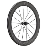 NEWMEN - Wheel (Rear) - STREEM Sprint VONOA | Road - [D]