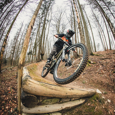 Riesel Design - Front Mudguard - KOL:OSS - ZEITBIKE