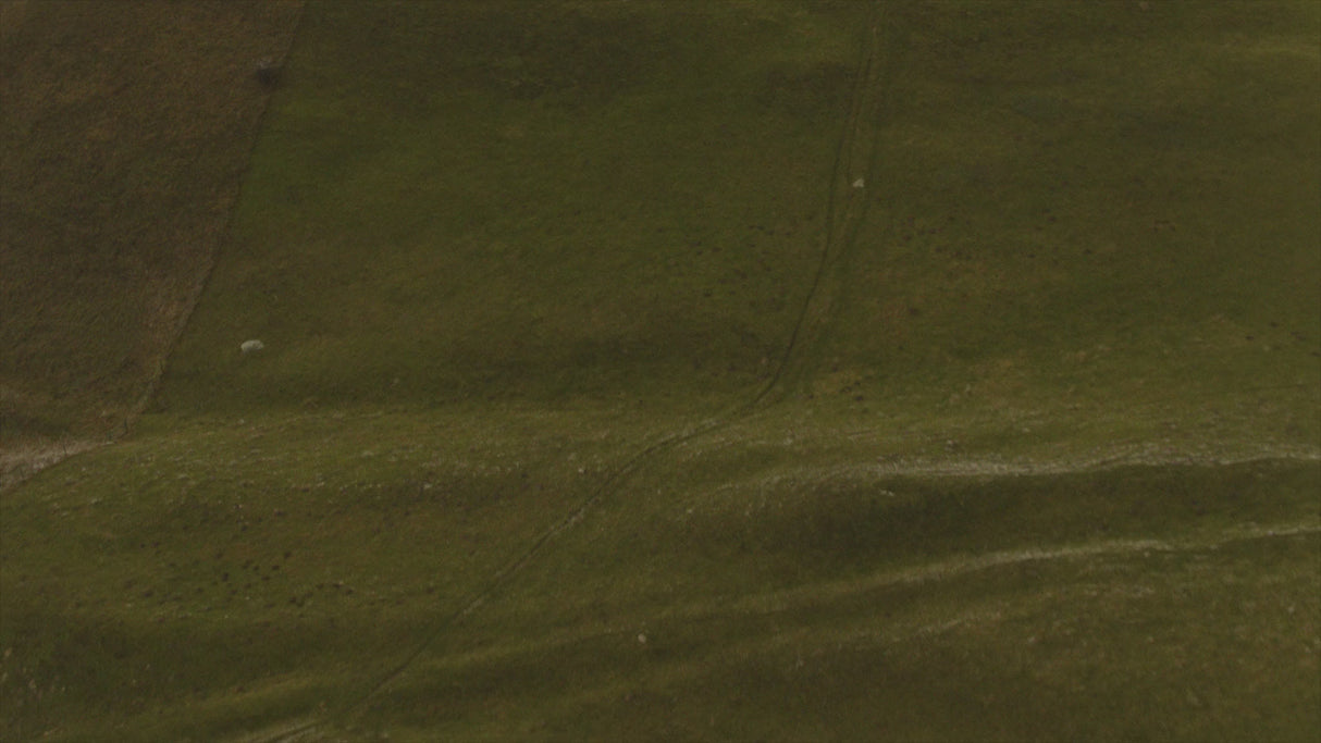 Ass Savers Win Wing MTB