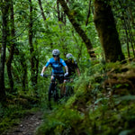 Mondraker - F-PODIUM CARBON DC RR Bike - Carbon-Silver (XC RACE | 2022)