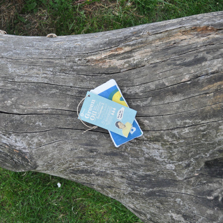 Green Oil - EcoSponge - ZEITBIKE