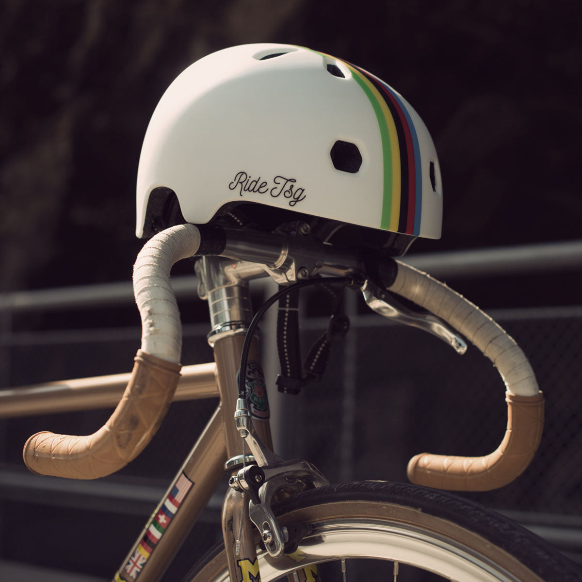bike helmet tei TSG